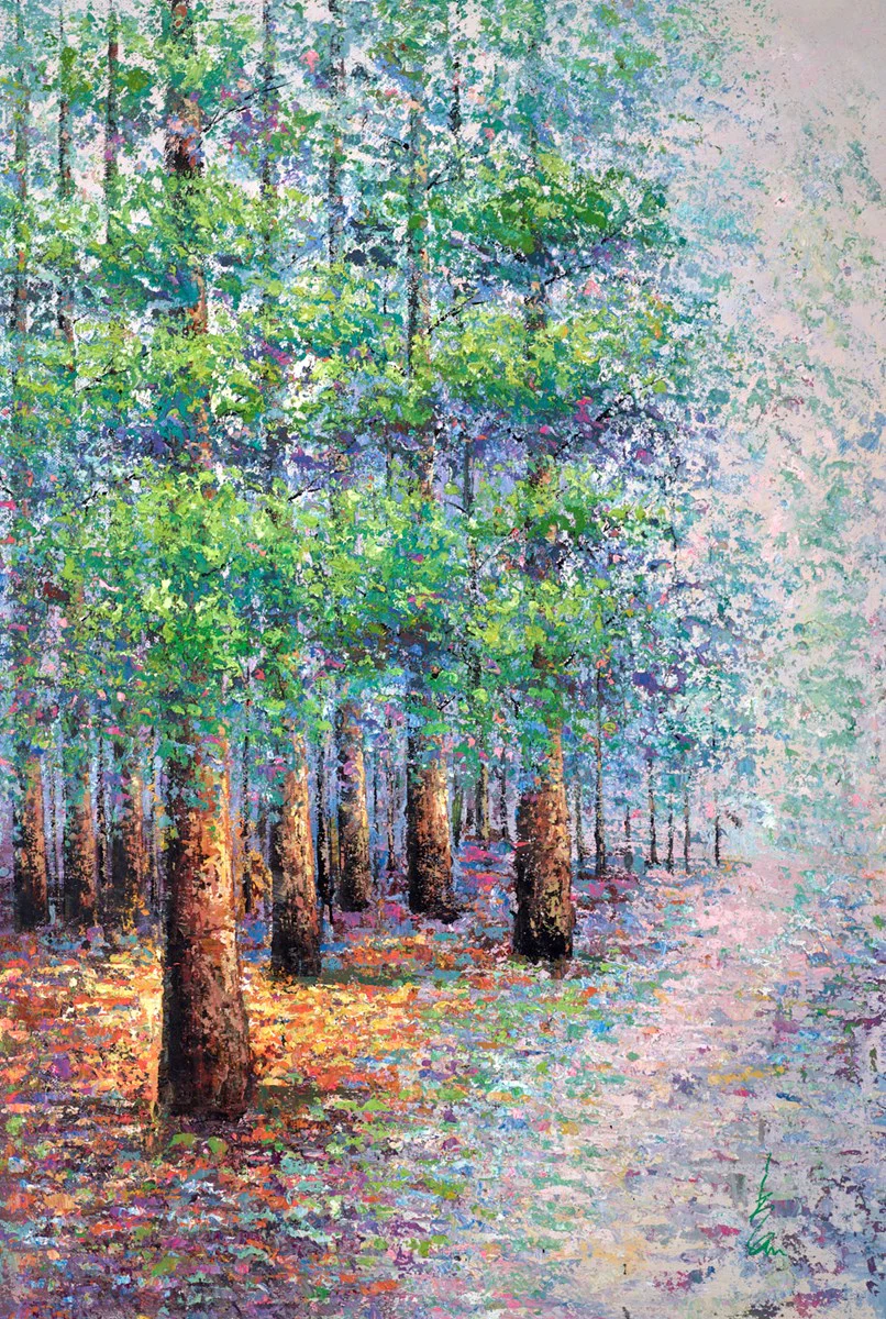 A Forest Of Colour