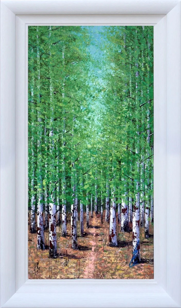 A Forest Pathway