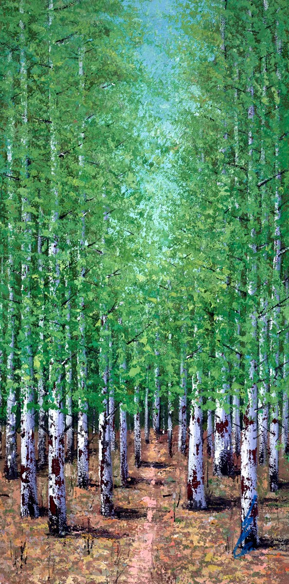 A Forest Pathway - Image 2