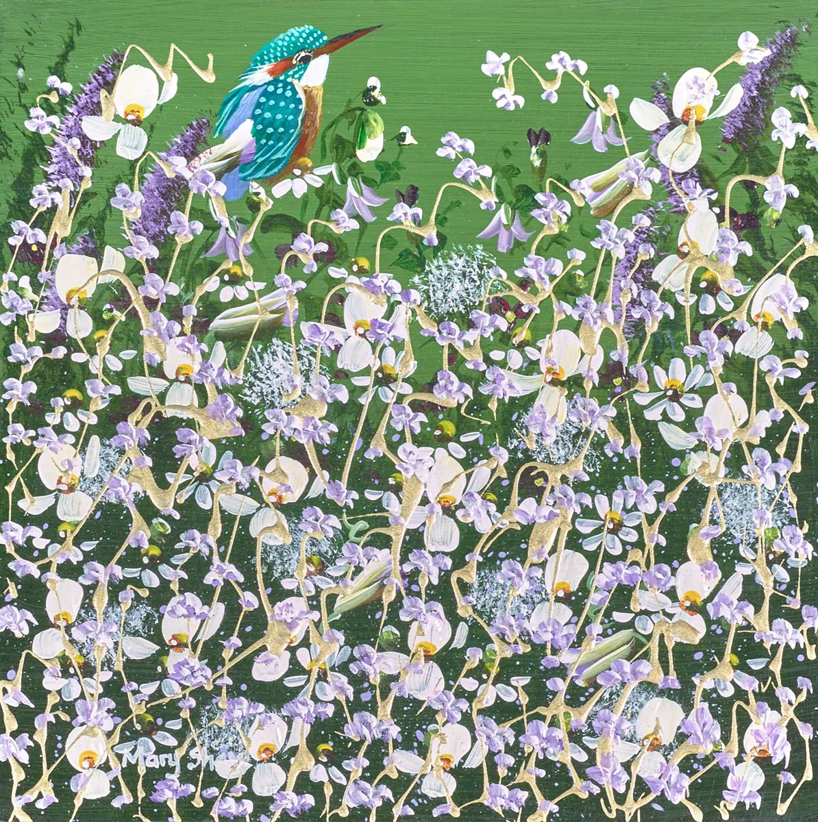 A Kingfisher’S Moment