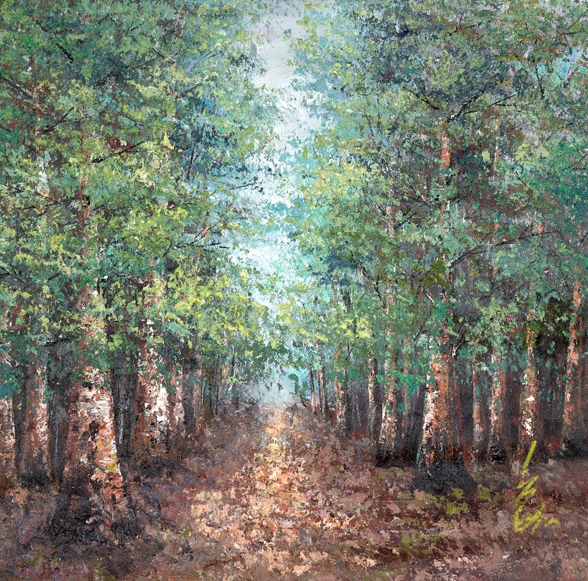 A Path Into The Forest