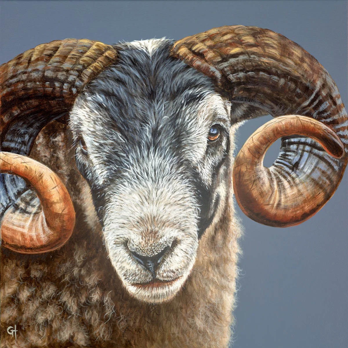A Ram's Identity - Image 2