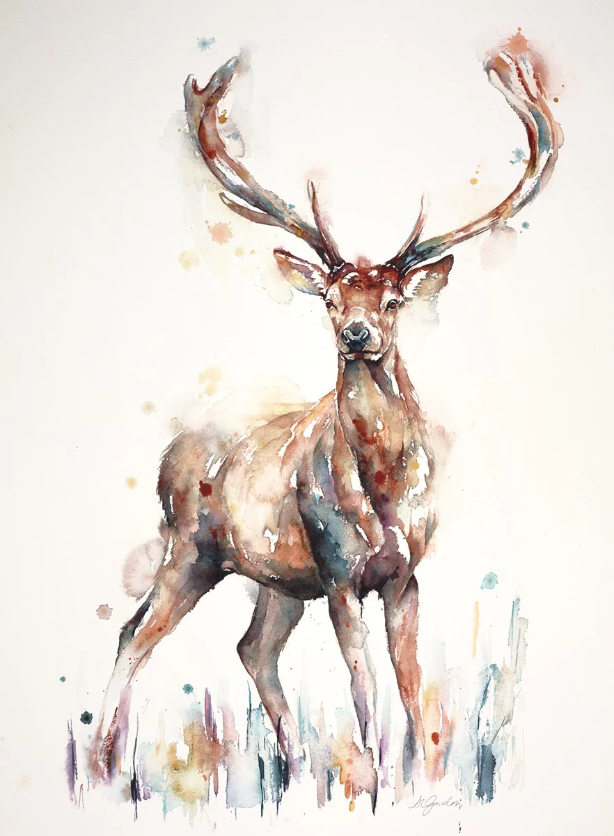 Alert - Red Stag - Image 2