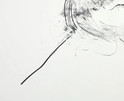 Apex Study II - Image 4