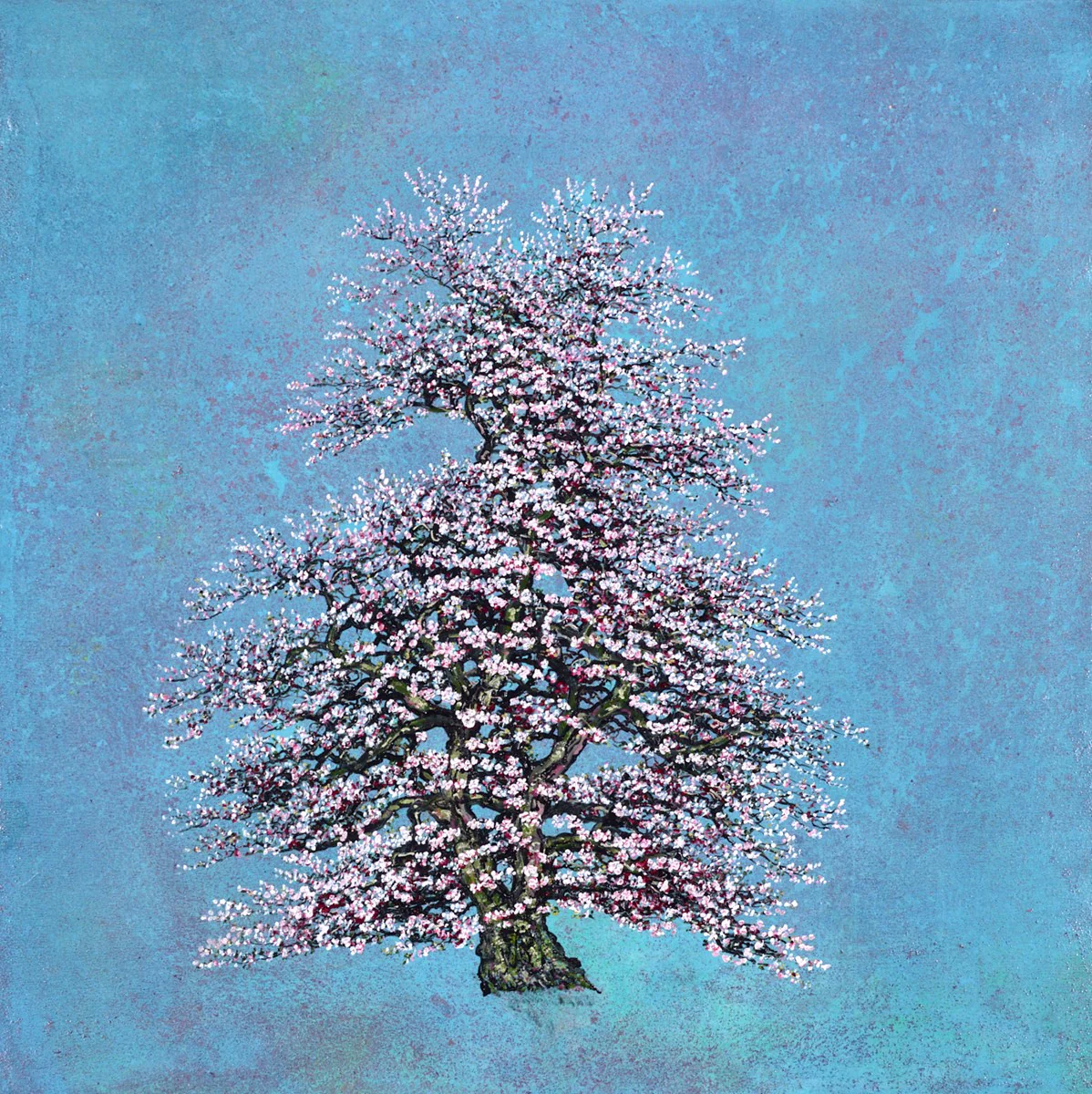 Aria - Image 2