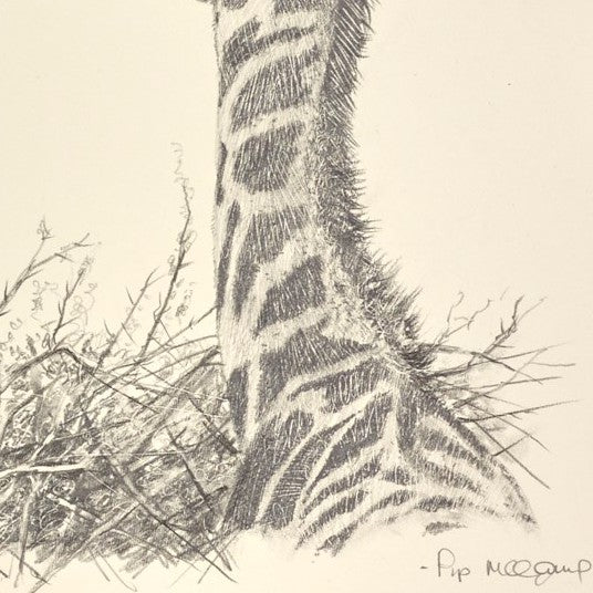 Baby Giraffe III - Image 3