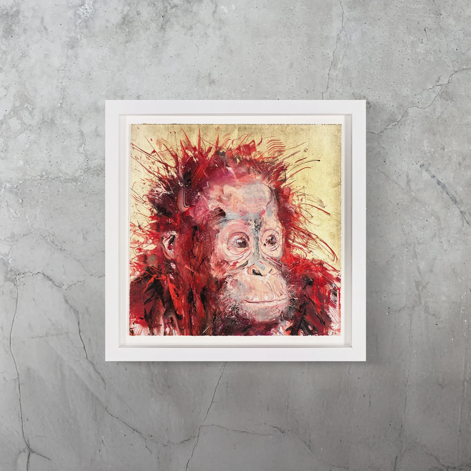 Baby Orangutan - Image 2