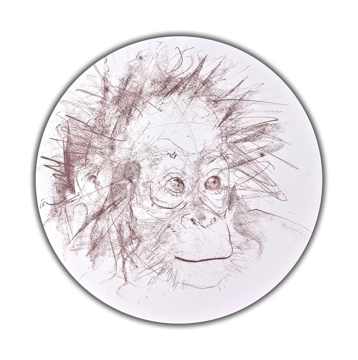 Baby Orangutan Study I