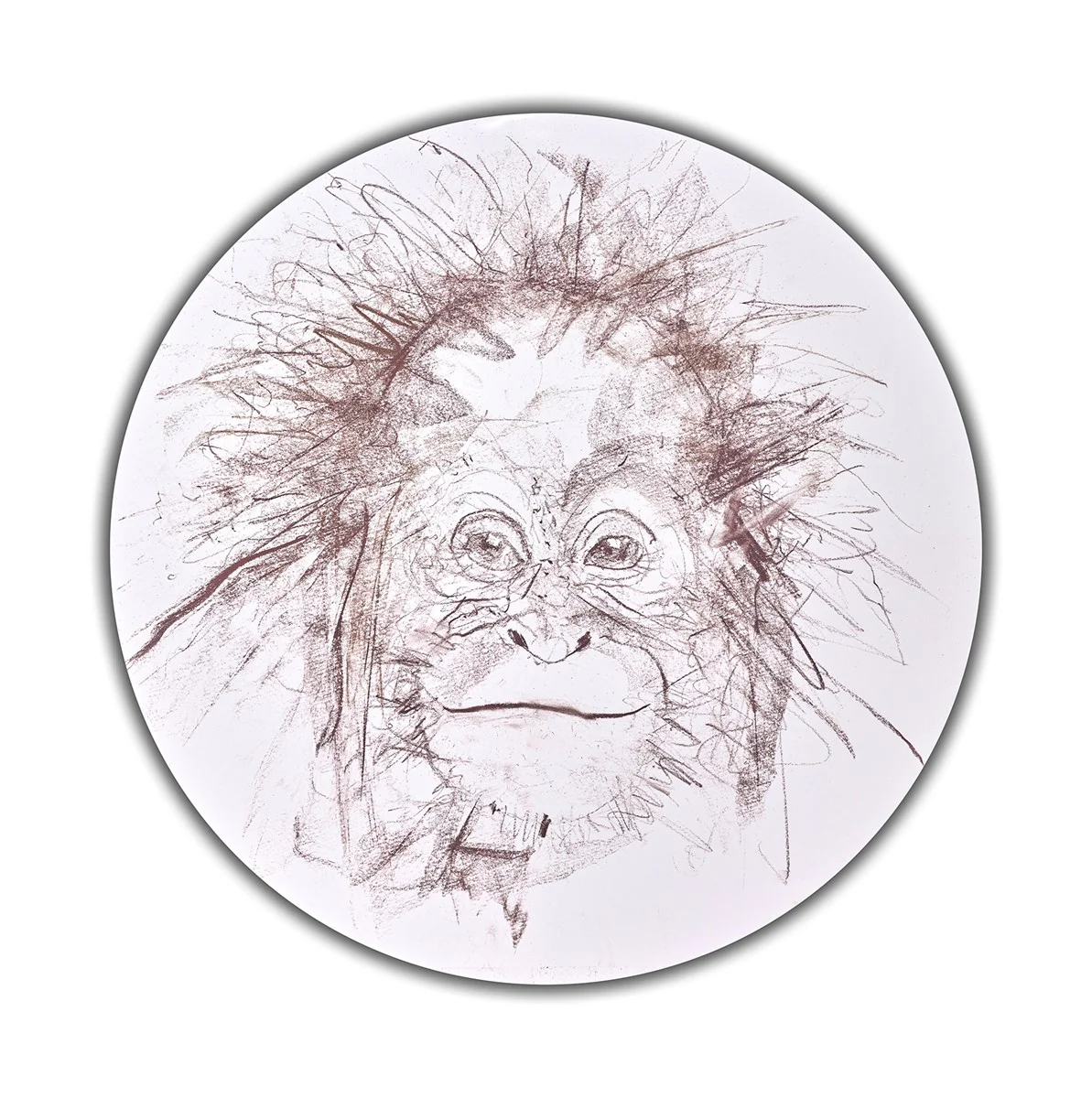 Baby Orangutan Study II