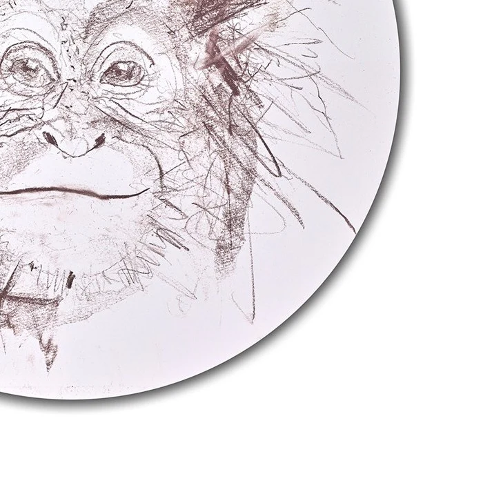 Baby Orangutan Study II - Image 2