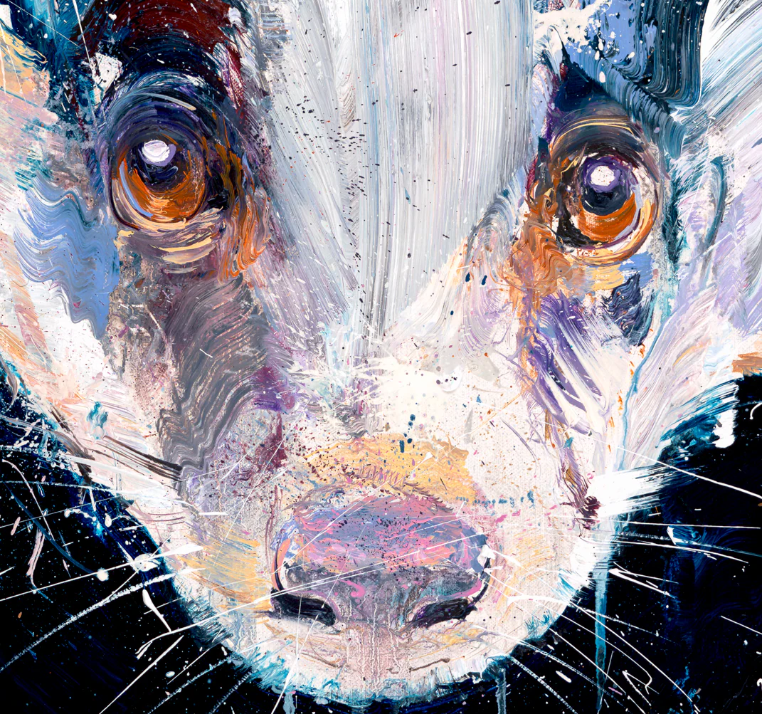 Badger - Image 4