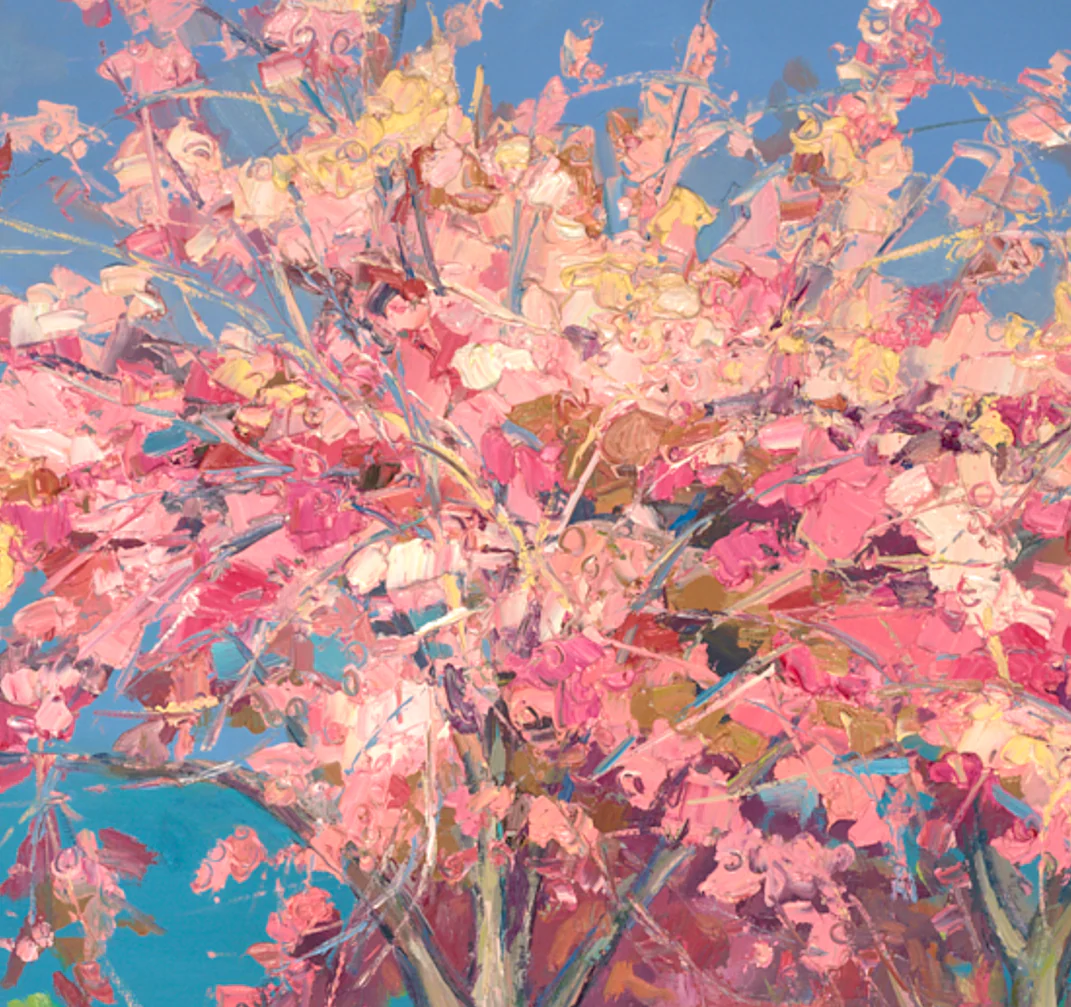 Beautiful Cherry Blossom, The Meadows - Image 3