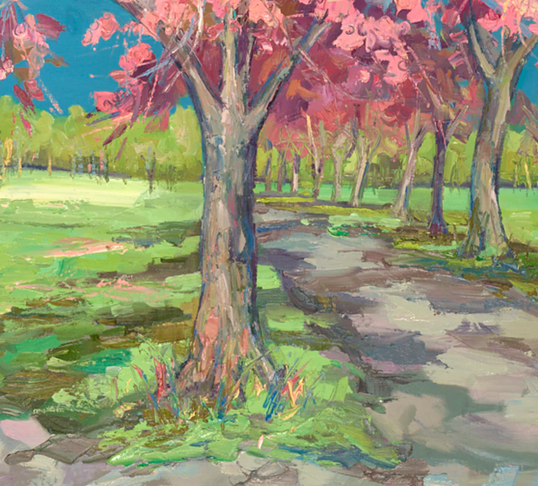 Beautiful Cherry Blossom, The Meadows - Image 4