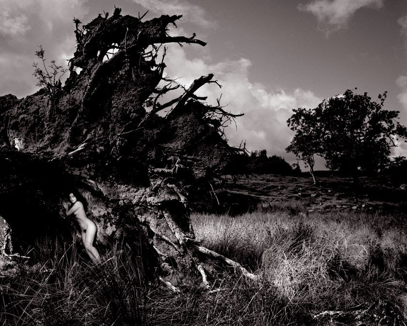 Becky In Uprooted Tree, 1984 - Image 3