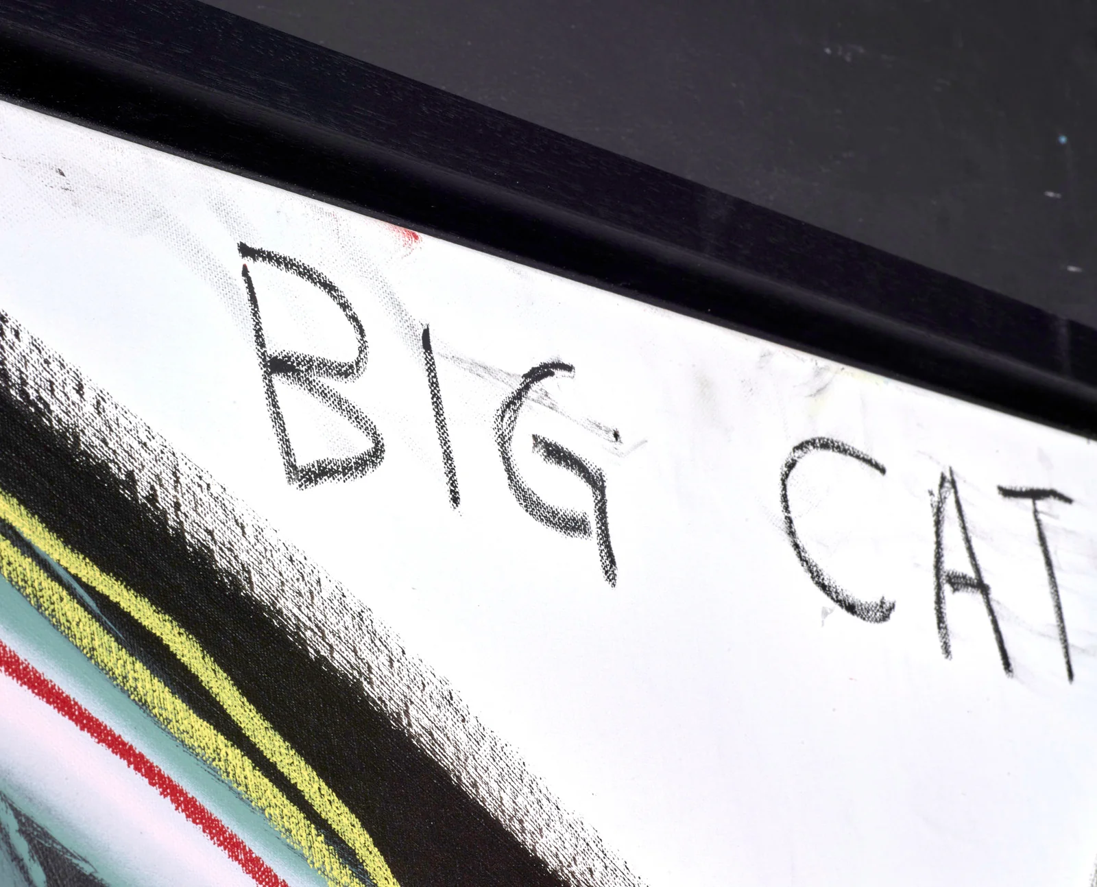 Big Cat - Image 4