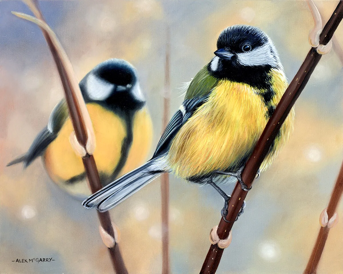 Great Tits On A Branch