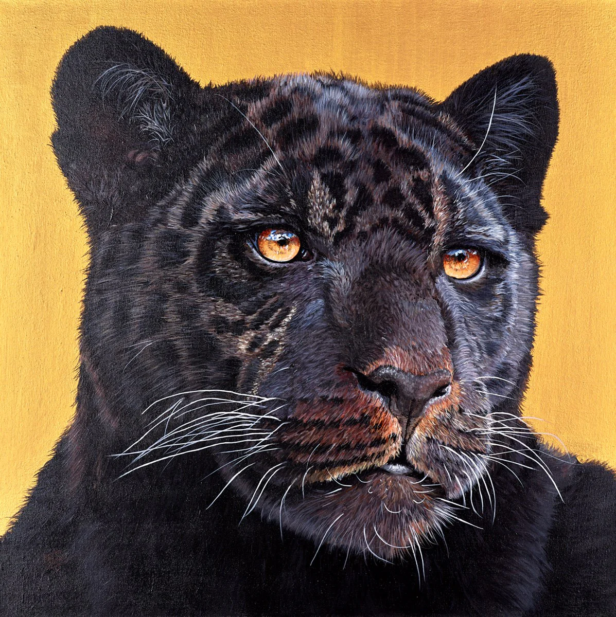 Black Magic II - Image 2