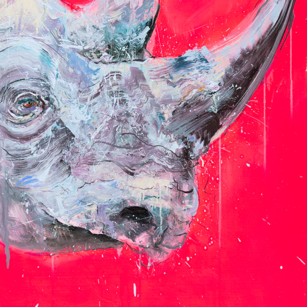 Black Rhino - Image 4