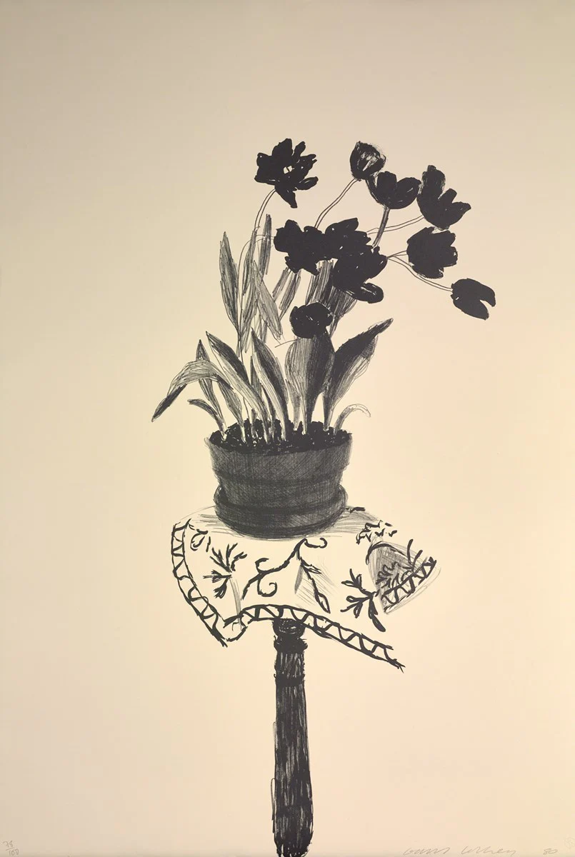 Black Tulips