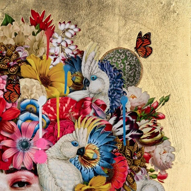 Bloom - Image 4