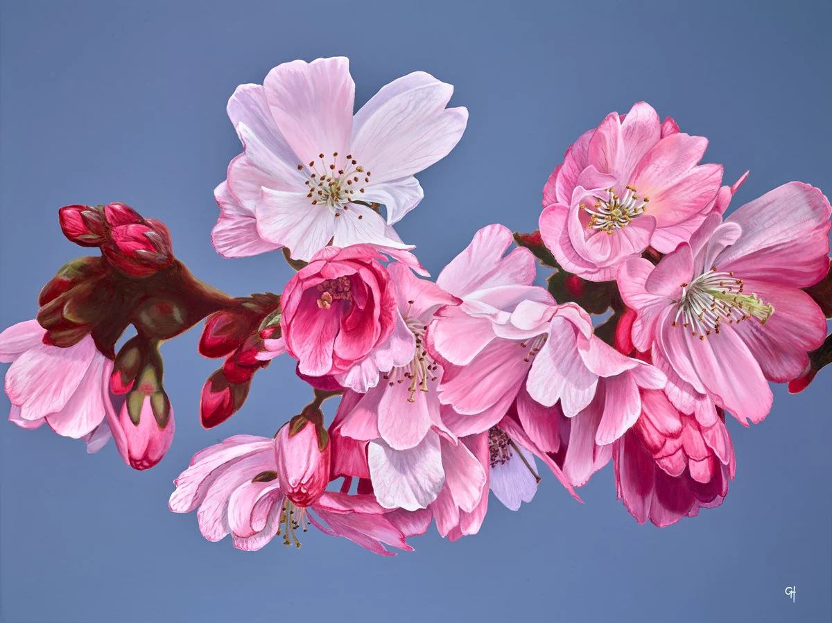 Blossoms