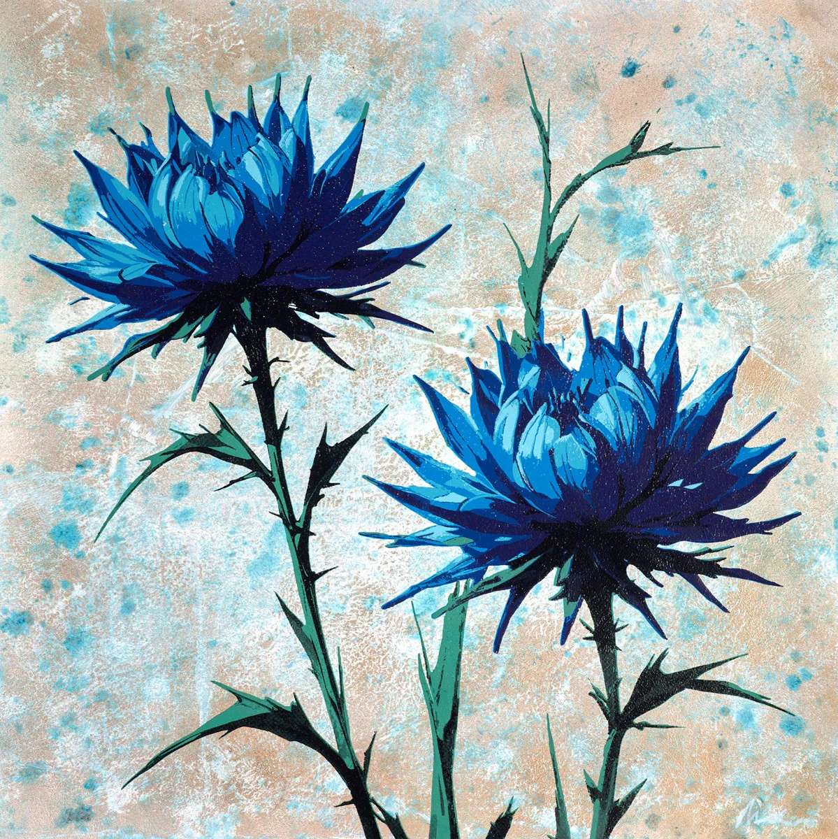 Blue Barb - Image 2