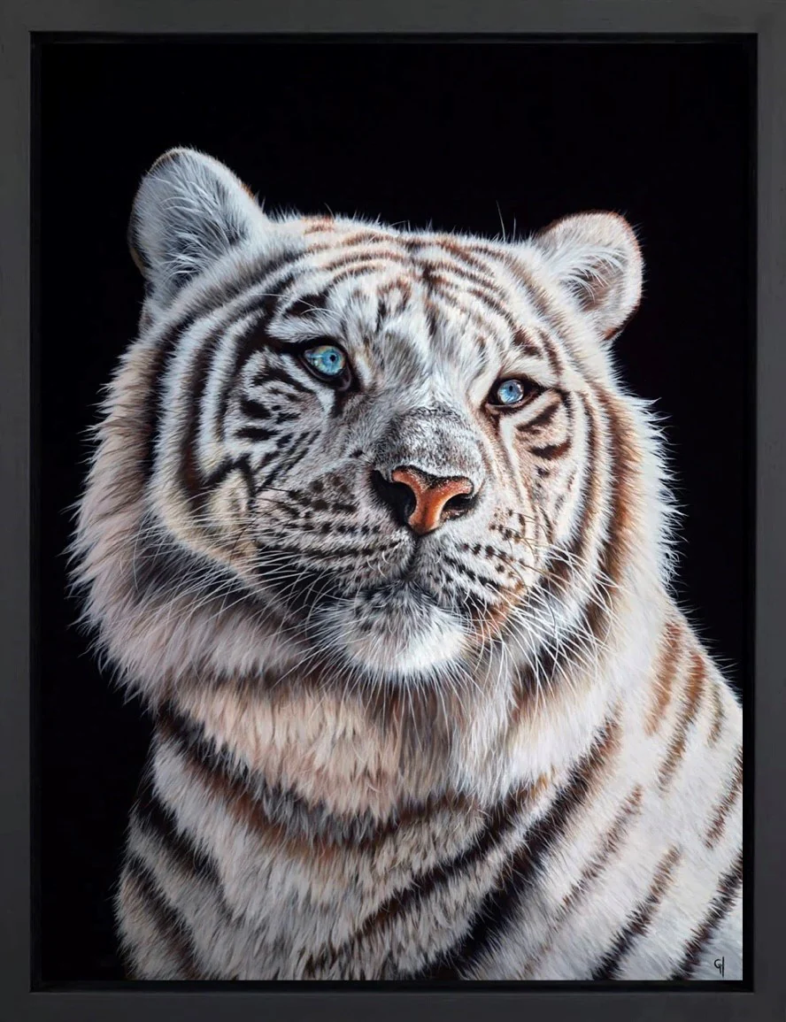 Blue Eyed Gaze