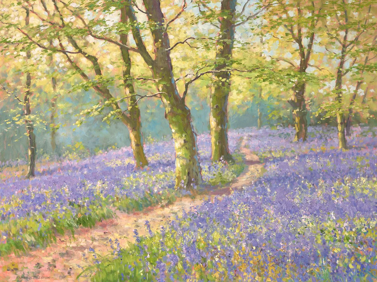 Bluebells