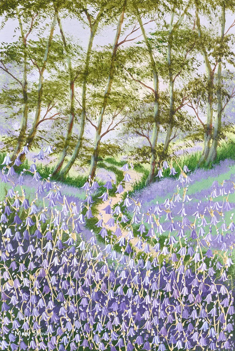 Bluebells And Woodland III