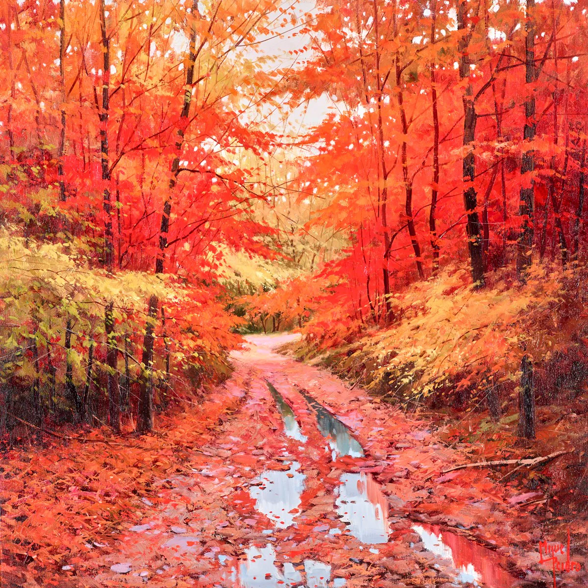 Bosque Betato - Image 2