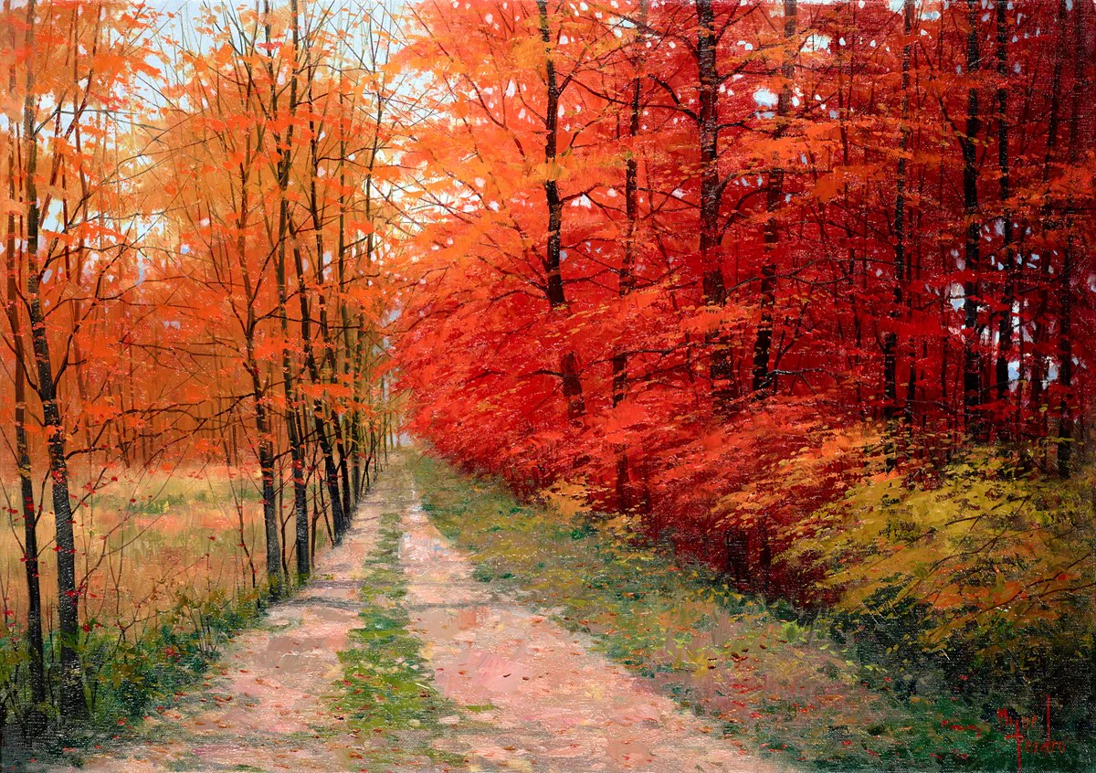 Bosque En Otono