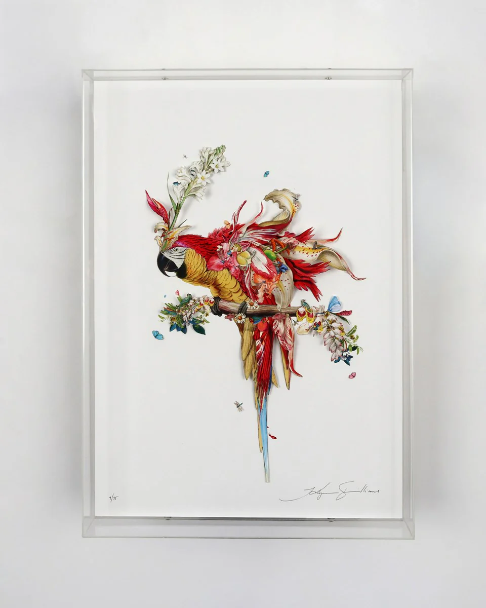 Botanical Harry Gin Bird II - Image 2