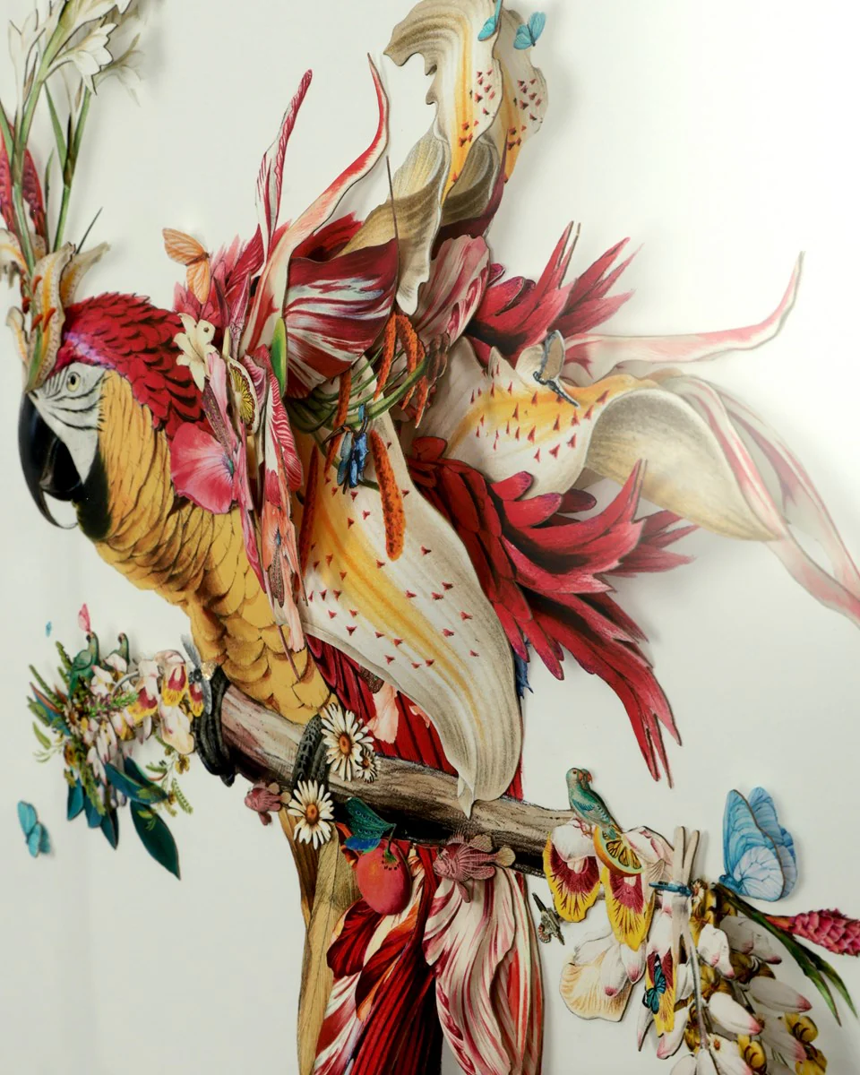 Botanical Harry Gin Bird II - Image 3