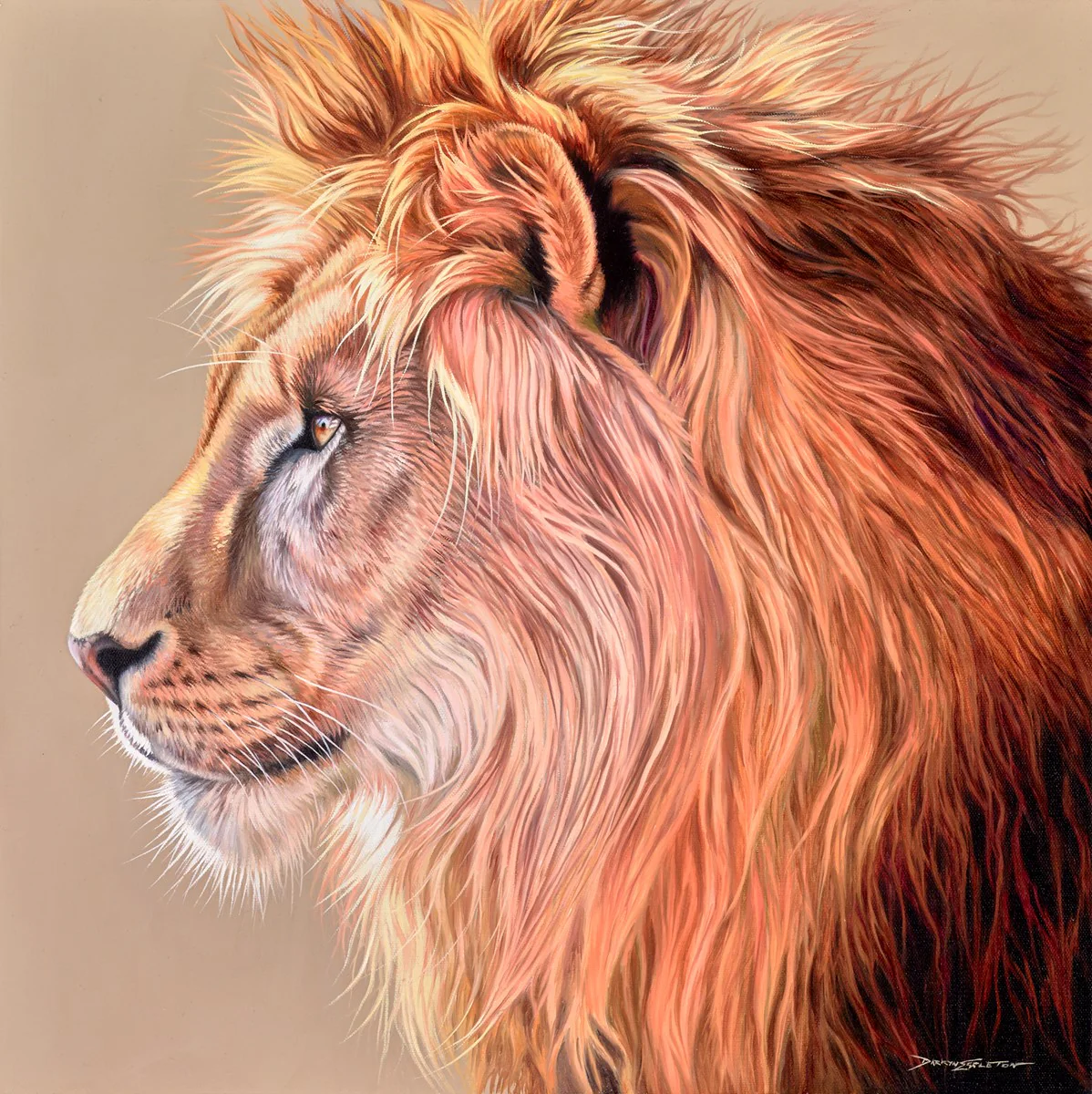 Bush King - Image 2