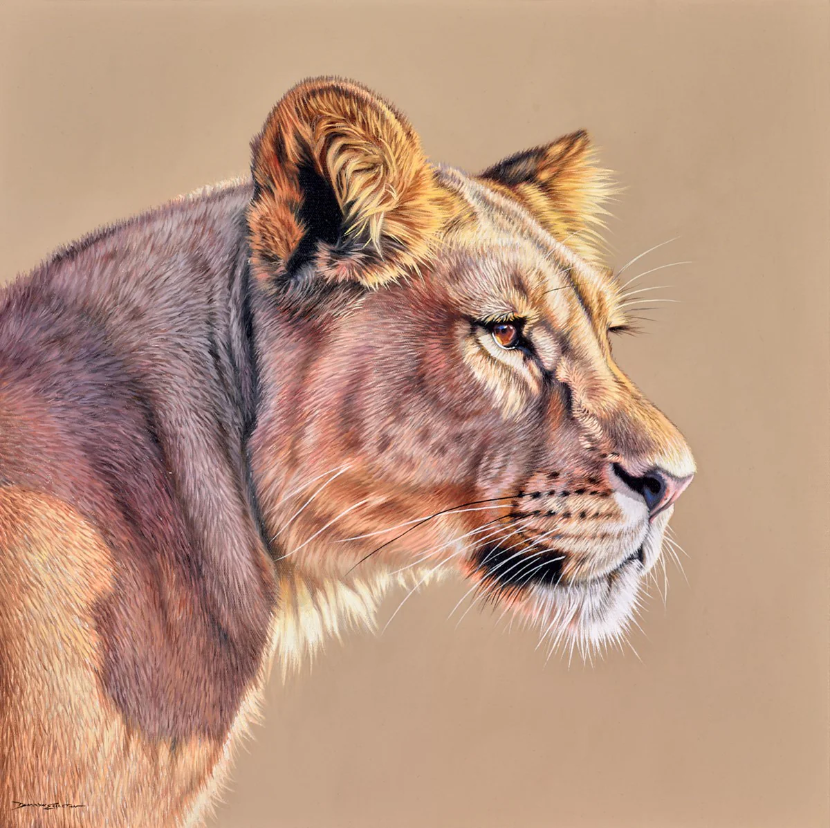 Bush Queen - Image 2