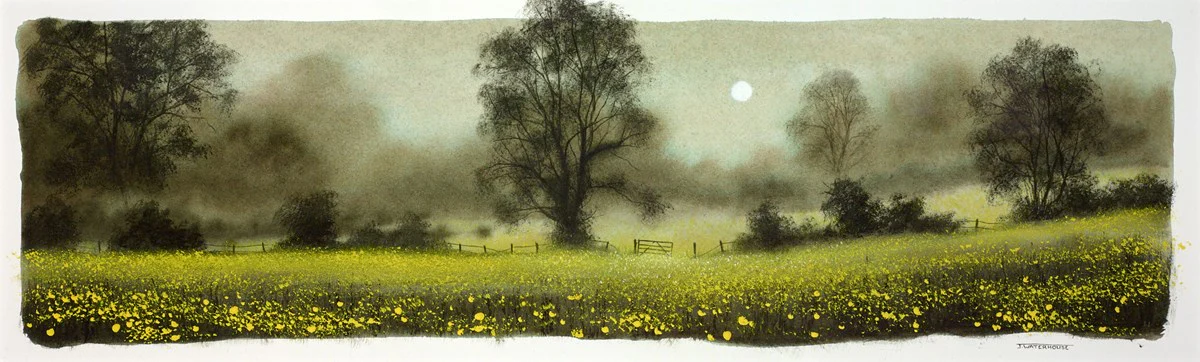 Buttercups (Study) - Image 2