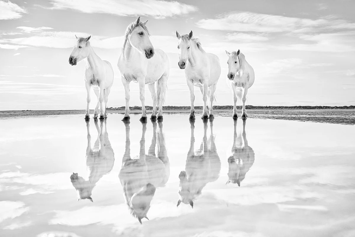 Calm Waters - Image 2
