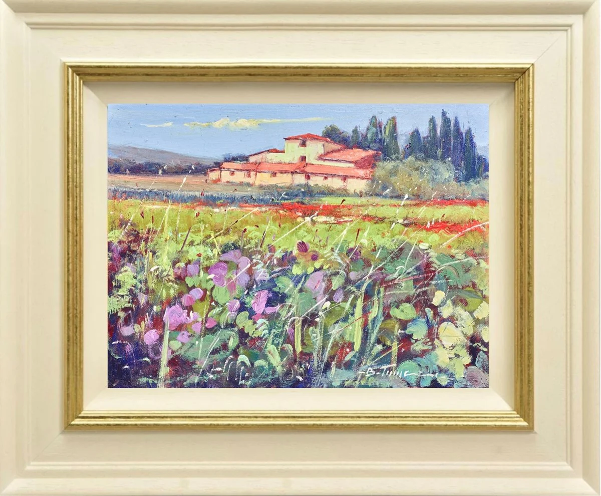 Campi Di Ametista
