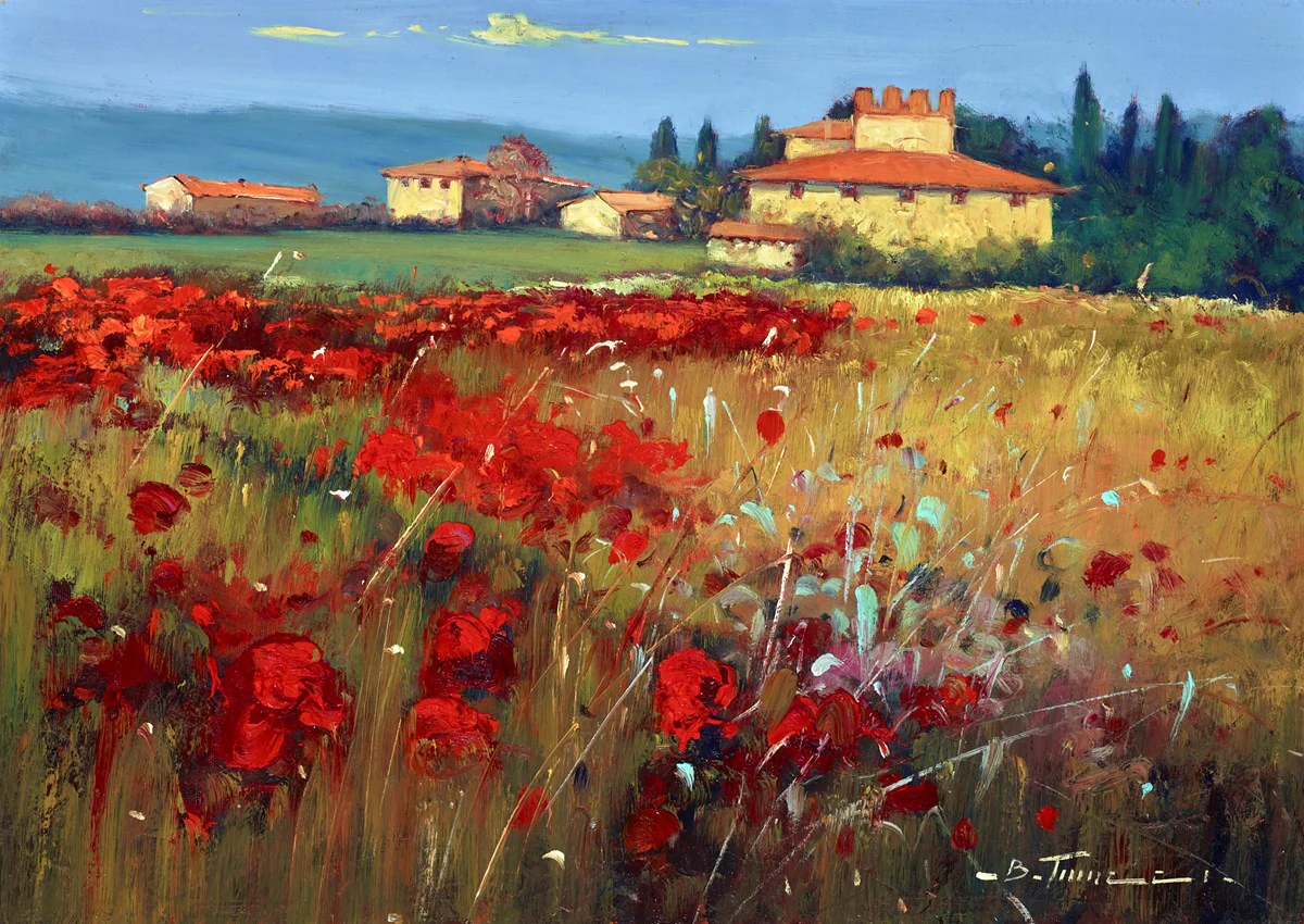 Campi Di Papavero D'italia