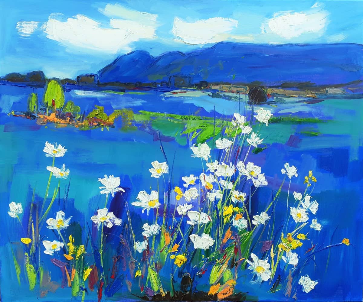 Campsie Fells With White Daisies