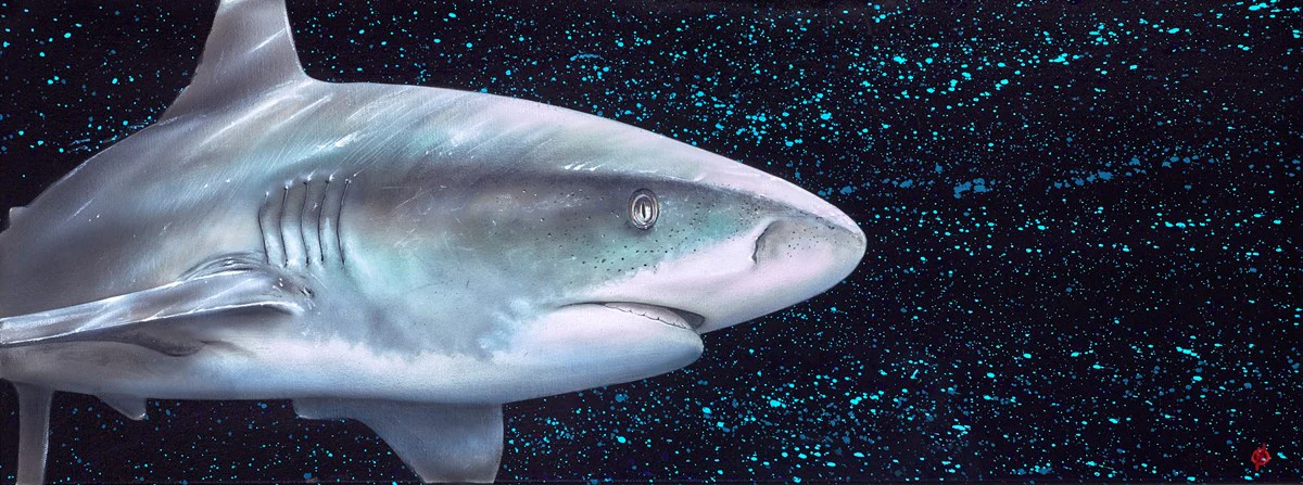 Caribbean Blue - Image 2