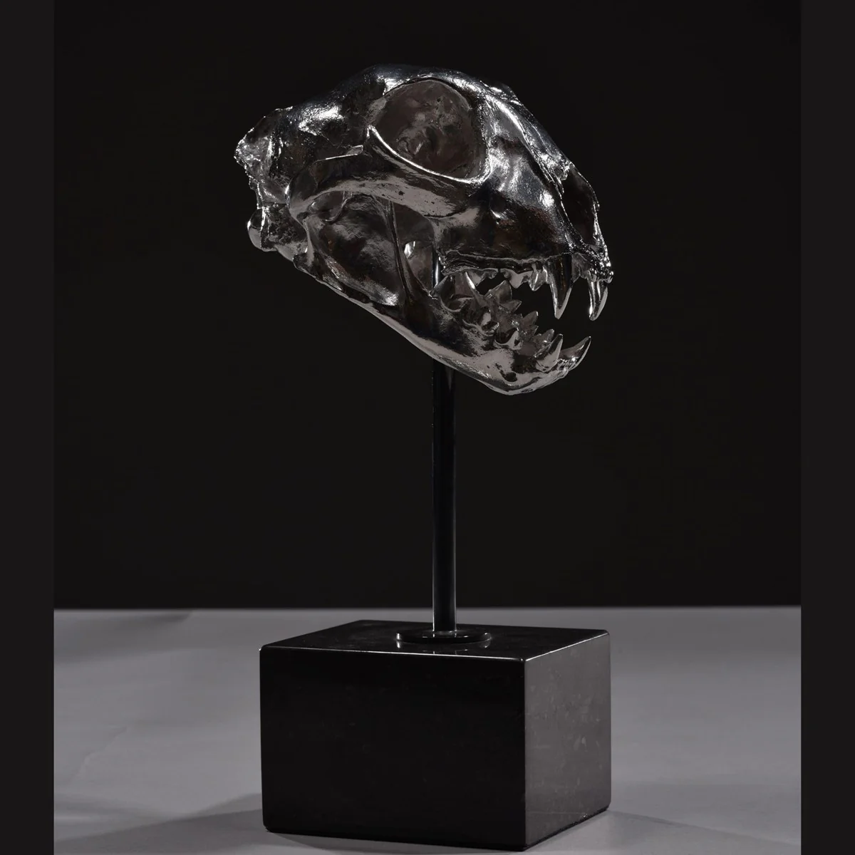Cheetah Skull - 2020