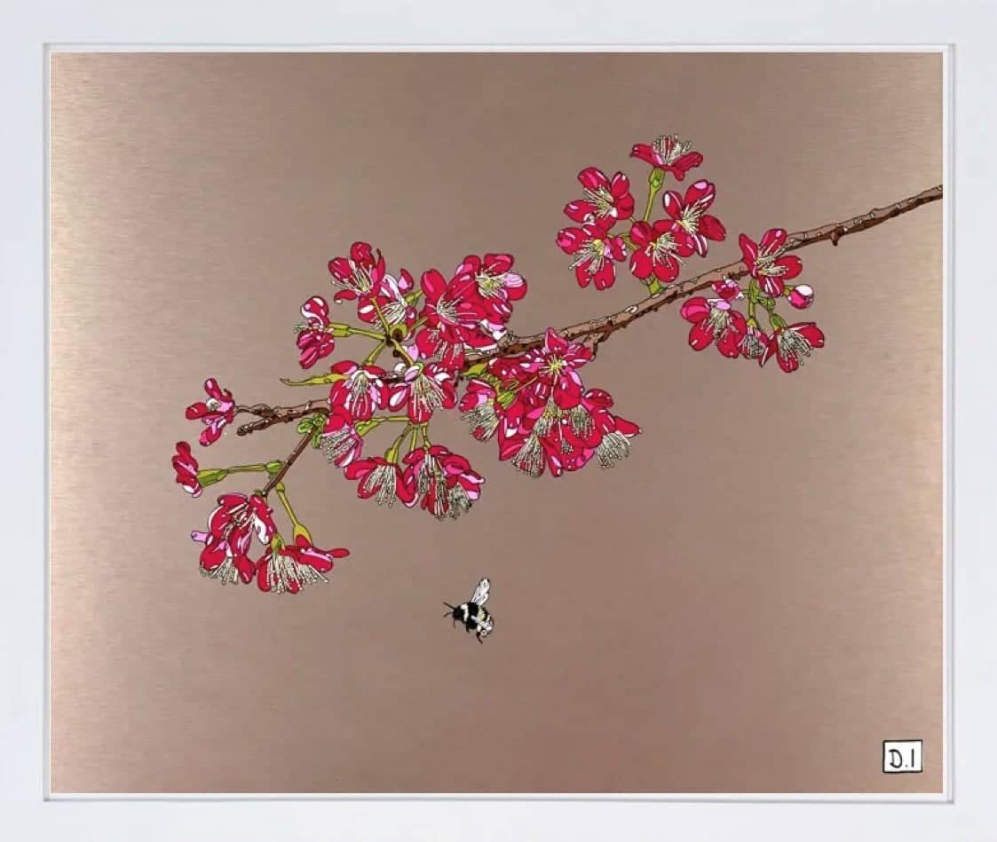 Cherry Blossom And Bee