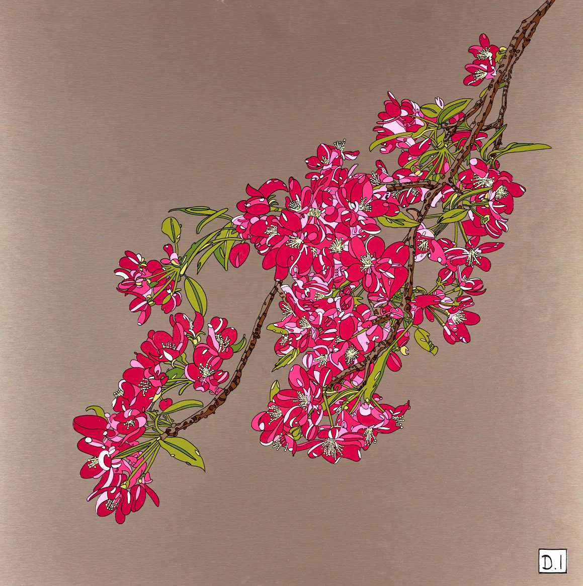 Cherry Blossom IV