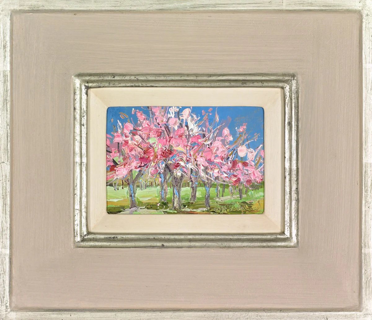 Cherry Blossom Time