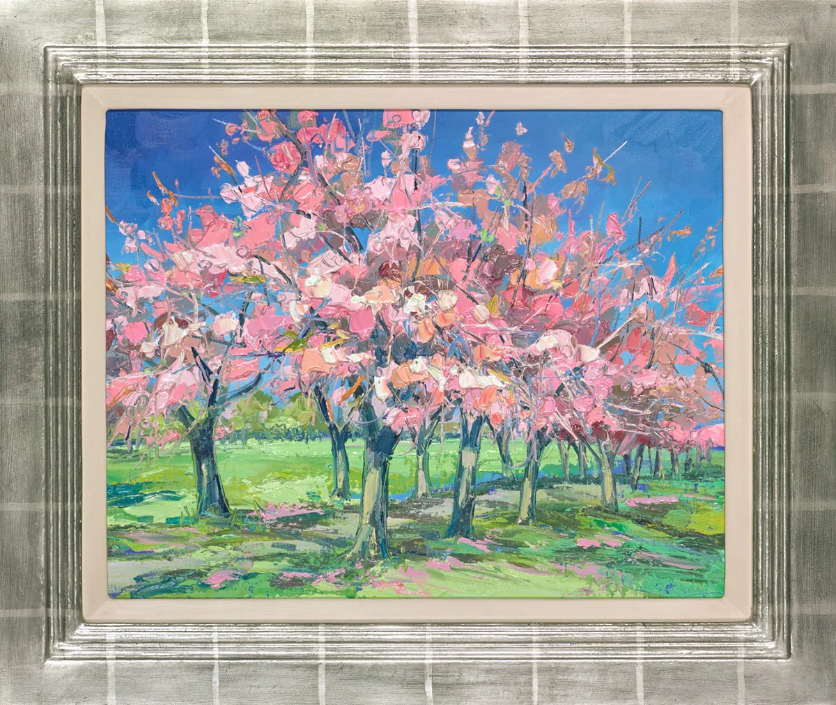 Cherry Blossom Time, The Meadows, Edinburgh