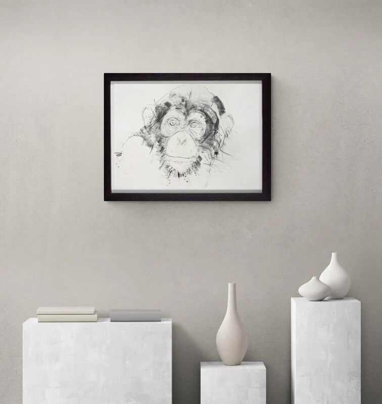 Chimp Study V - Image 2