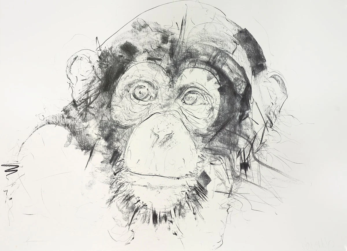 Chimp Study V - Image 3
