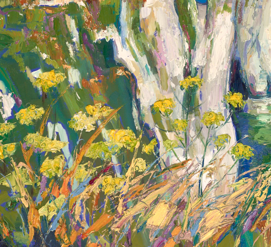 Clifftop Flowers, Old Harry Rocks - Image 4