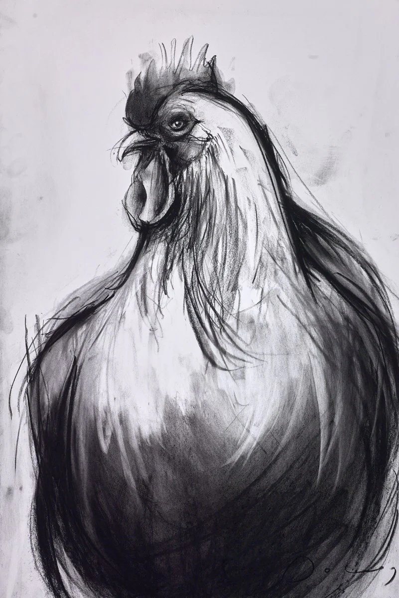Cockerel - Image 2